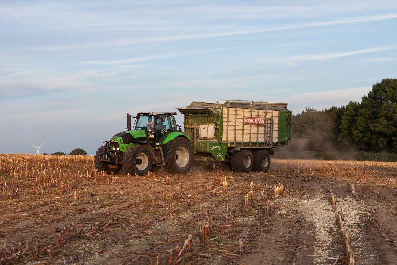 Bild 139 - Maisernte 2016